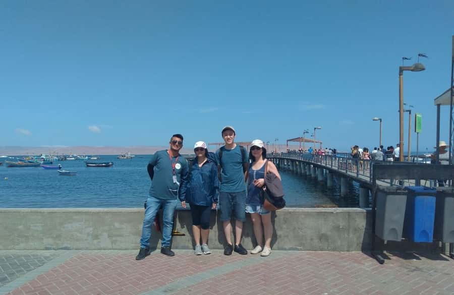 Lima: Ballestas Islands, Huacachina Oasis & Nazca Lines Tour - A Very Early Start From Lima, Then South to Paracas