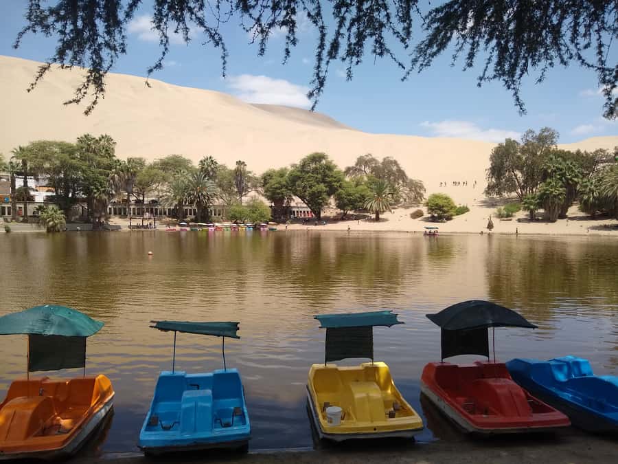 Lima: Ballestas Islands, Huacachina Oasis & Nazca Lines Tour - Huacachina Oasis at Sunset: Sandboarding and the V8 Buggy Ride