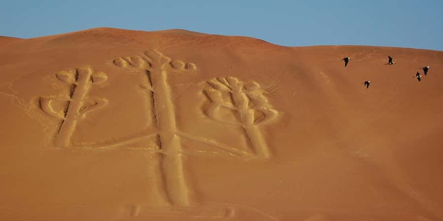 Lima: Ballestas Islands, Winery and Nazca Lines Private Tour - Ballestas Islands: long-tail boat, guided viewing, and wildlife you can actually spot