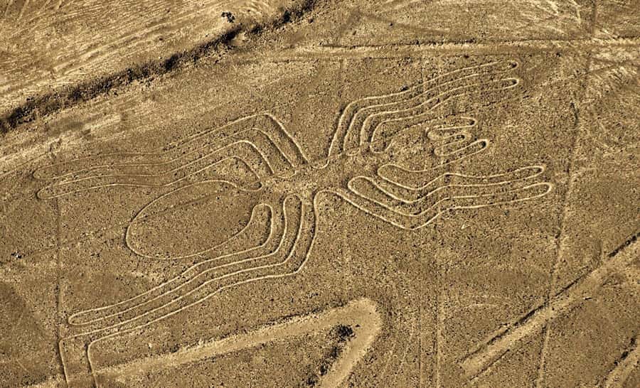 Lima: Ballestas Islands, Winery and Nazca Lines Private Tour - Lunch in Paracas: creole or seafood plus drinks