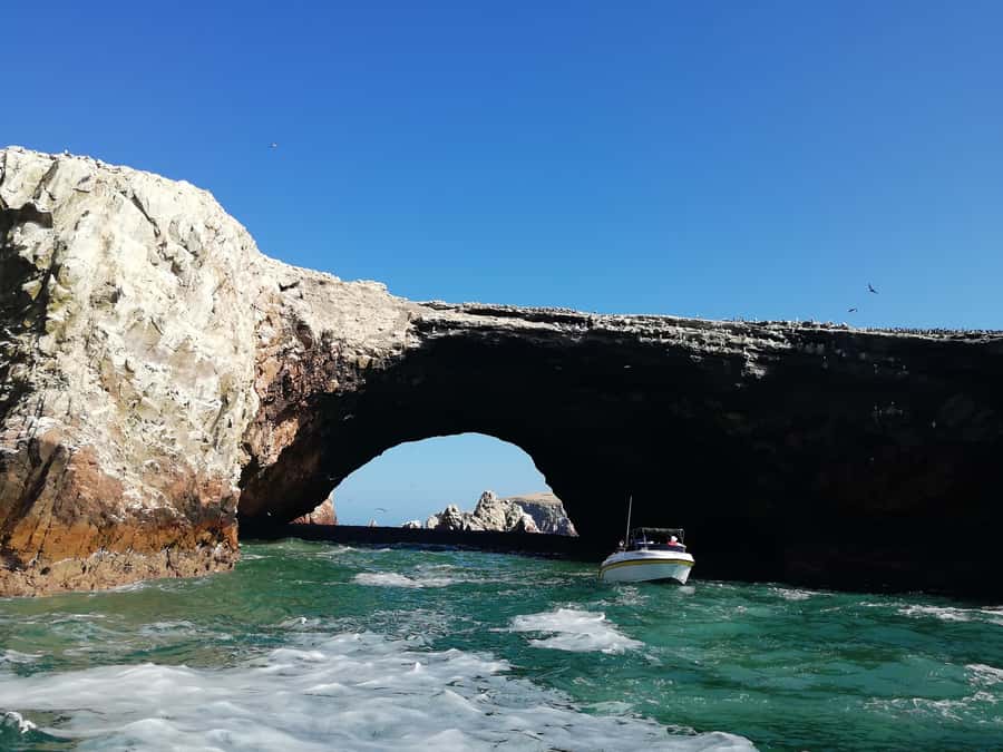 Lima: Ballestas Islands, Winery and Nazca Lines Private Tour - Chincha Alta winery and tasting: wine and pisco in about 30 minutes