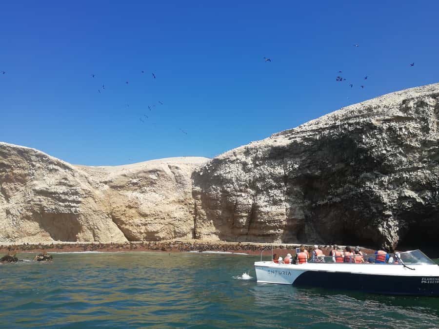 Lima: Ballestas Islands, Winery and Nazca Lines Private Tour - The 4:30 AM pickup and the van ride to Paracas National Reserve