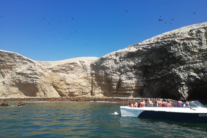 Lima: Ballestas Islands, Winery & Huacachina Oasis Private Tour - A long day with real payoffs: Ballestas, Ica wine, and desert dunes