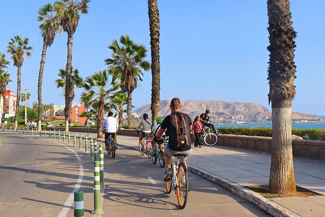 Lima Bike Tour in Miraflores & Barranco - Shared small group - Casa Taller Víctor Delfín and the stop that mixes art with the sea