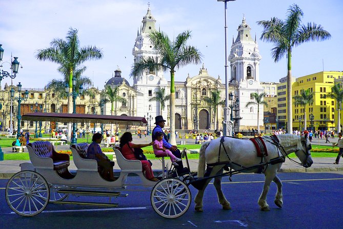 Lima City in 1 day - Lima Highlights! (Small Group) - San Isidro’s preserved olive trees, old olive oil tools, and a pond with turtles