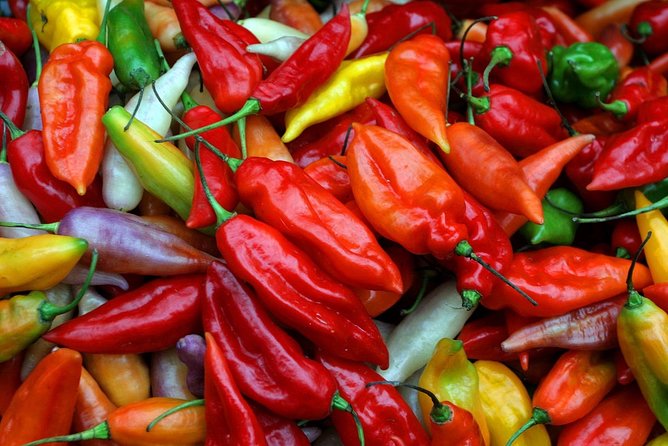Lima Food through Local Markets & Barranco Tour (Small Group) - Should You Book This Lima Food Tour?