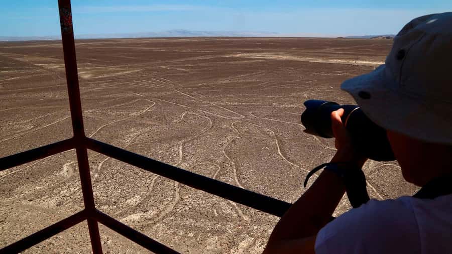 LIMA|| FullDay excursion to the Nazca Lines+Huacachina Oasis - Nazca Lines From the Air: The Part You Really Came For