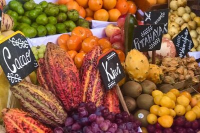 Lima Gourmet Food Tour: Daytime Experience