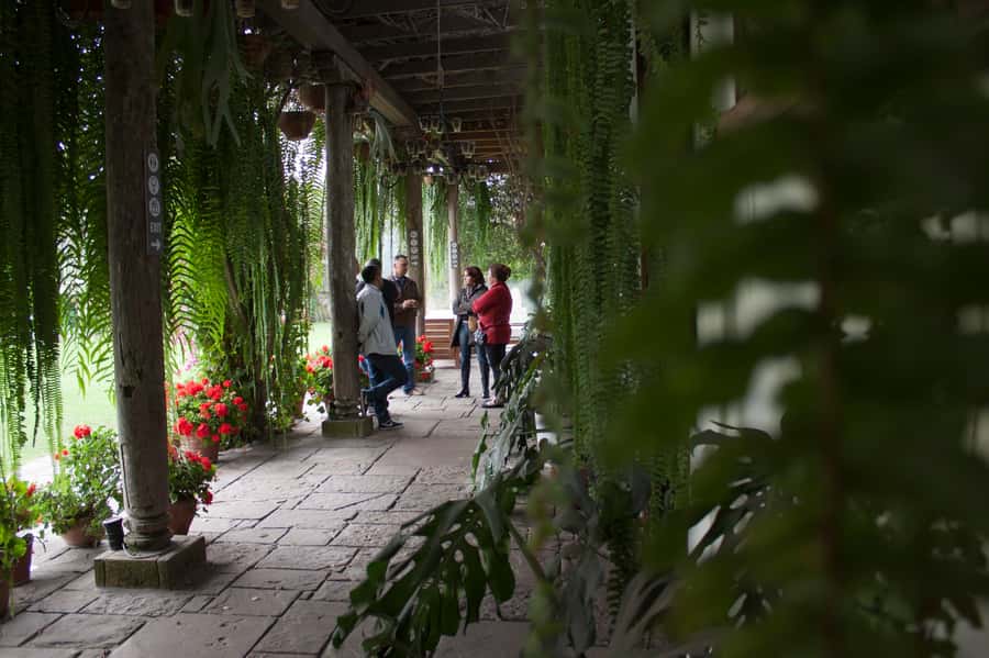 Lima: Half-Day Colonial Lima and Larco Museum Tour - Who This Half-Day Tour Is Best For