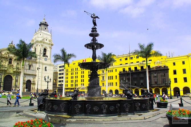 Lima Highlights! - City Tour & Miraflores, Barranco & San Isidro - San Isidro’s Olive Park: a quiet break with centuries-old trees
