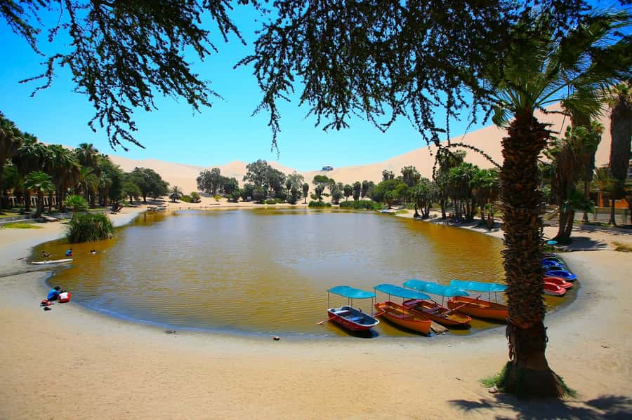 Lima: Huacachina, Winery, & Nazca Lines from Pisco Airport - Safety, comfort, and who this tour fits (and who should skip it)