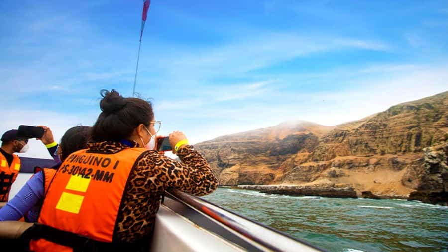 Lima | Islas Palomino Tour | Swim with Sea Lions - Lima to Palomino: why this sea lion swim feels special