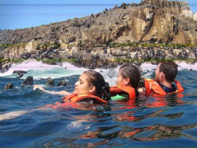 Lima | Islas Palomino Tour | Swim with Sea Lions