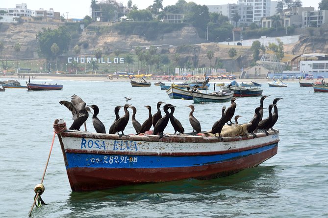 Lima Off the Beaten Path: Local Communities and Cultural Immersion - How to get the most out of the off-road driving and uneven terrain