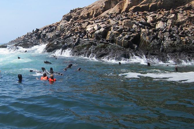 Lima: Palomino Islands Excursion & Swimming with Sea Lions with Hotel Transfers - Hotel pickup and the Callao Harbor transfer, door-to-door value