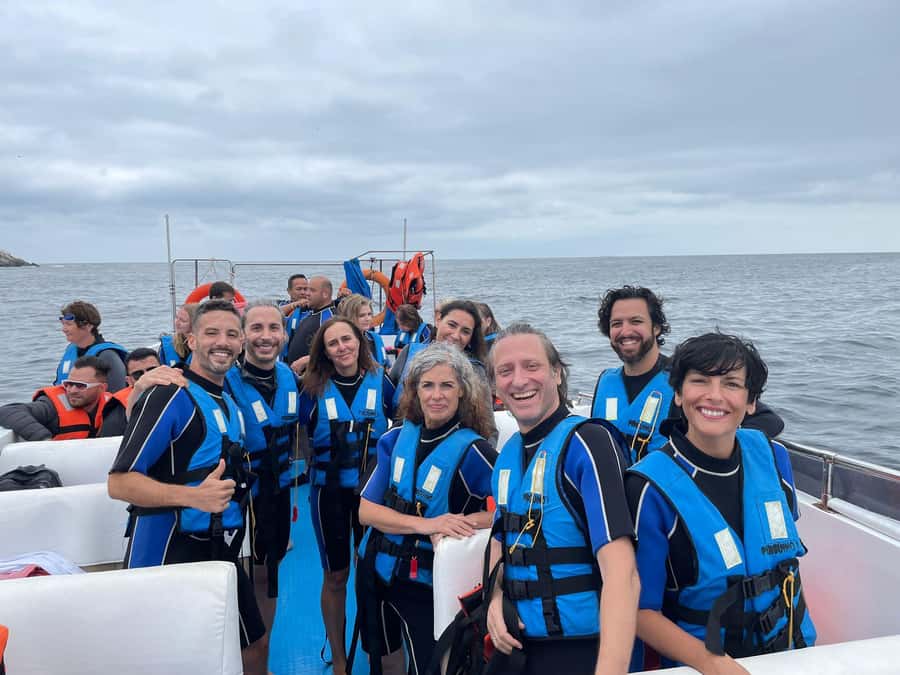 Lima: Palomino Islands Speedboat Tour & Swim with Sea Lions - In the water with sea lions: wetsuit and life jacket basics