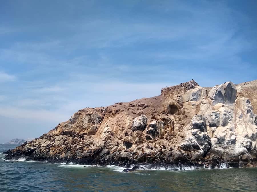 Lima: Palomino Islands Speedboat Tour & Swim with Sea Lions - El Camotal, San Lorenzo, Palomino: what each stop is doing for you