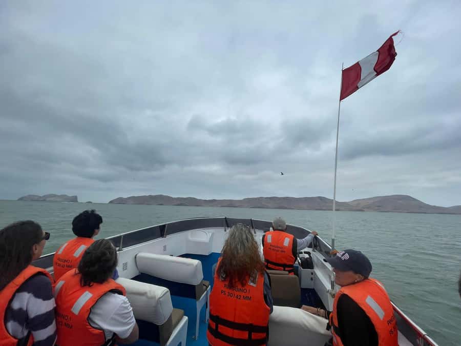 Lima: Palomino Islands Speedboat Tour & Swim with Sea Lions - What to bring for the sea lion swim day
