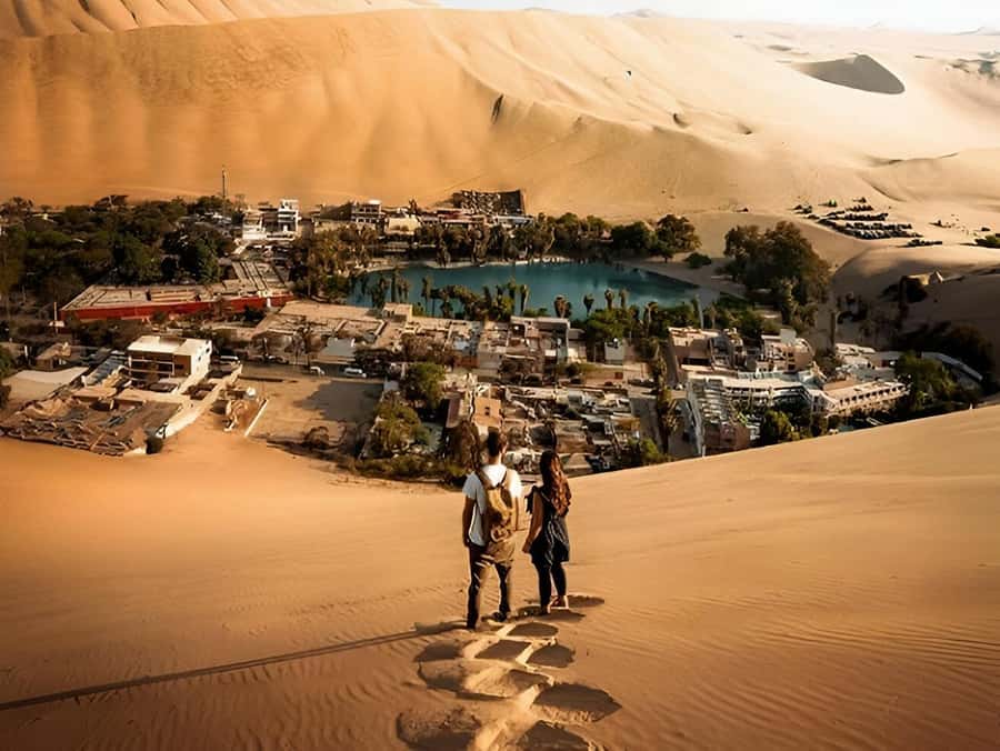 Lima: Paracas & Huacachina Oasis Day Trip with Wine & Dunes - Why this Paracas and Huacachina day trip is so appealing