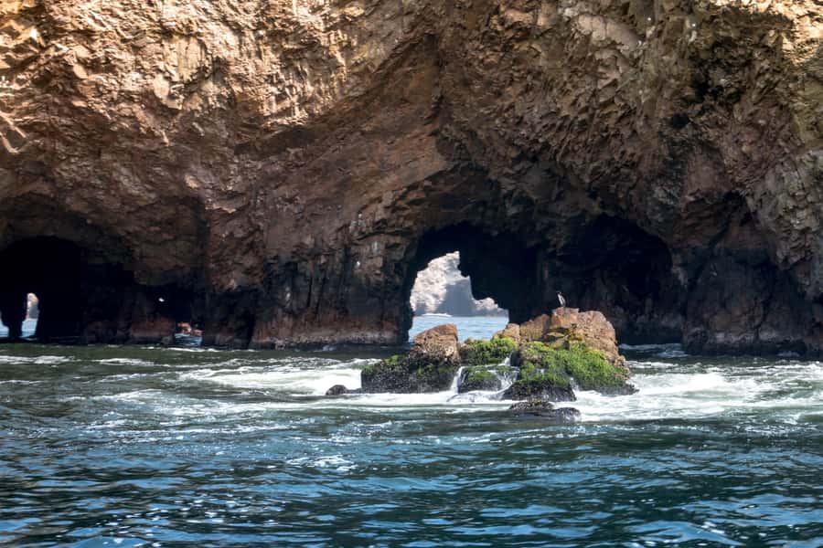 Lima: Paracas & Huacachina Oasis Day Trip with Wine & Dunes - Price and value: why $100 can be a fair deal here