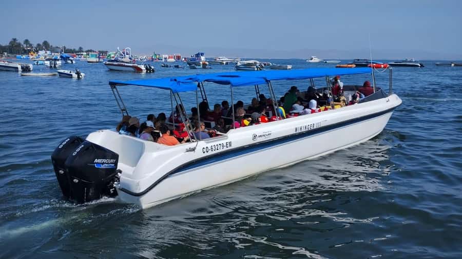 Lima: Paracas & Huacachina Oasis Day Trip with Wine & Dunes - Who this tour is perfect for, and who should think twice