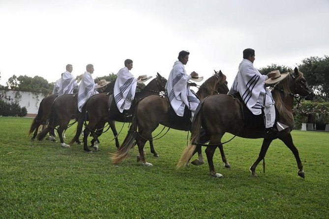 Lima: Premium Peruvian Horse Show with Lunch & Transfers - Key highlights worth booking for