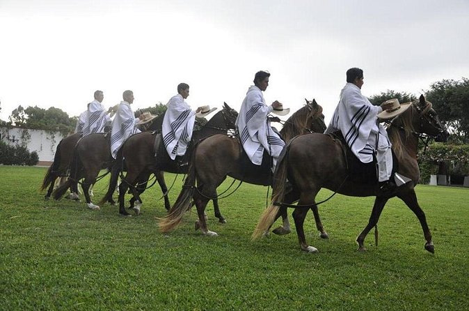 Lima: Premium Peruvian Horse Show with Lunch & Transfers - The exhibition show: chalanes, Marinera Norteña, and Paso horse skills