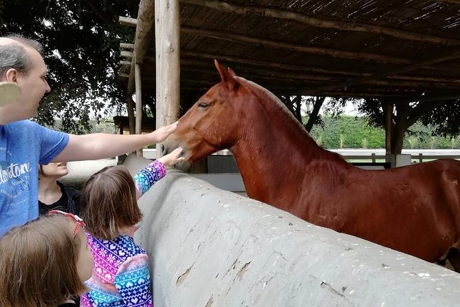 Lima: Premium Peruvian Horse Show with Lunch & Transfers - Lunch at the hacienda: why the meal is more than included