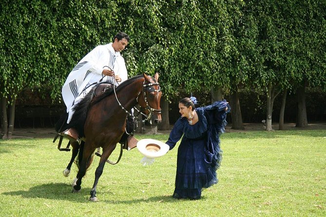 Lima: Premium Peruvian Horse Show with Lunch & Transfers - Price and value: what $149 includes and what to watch for