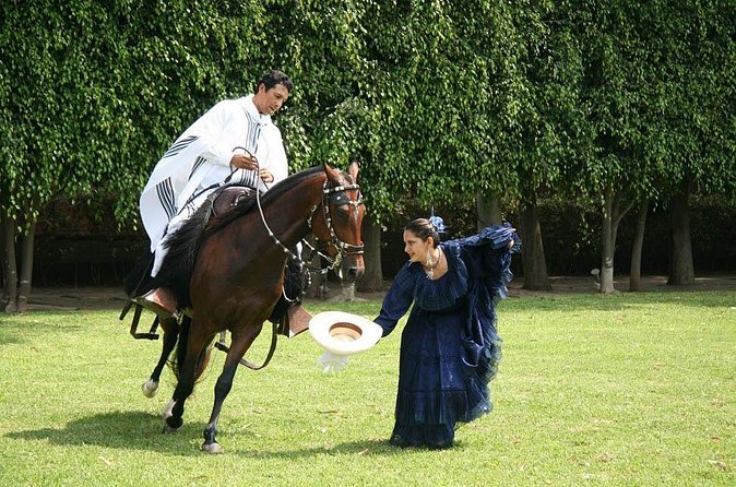 Lima: Premium Peruvian Horse Show with Lunch & Transfers - Who this Lima Paso horse show is best for