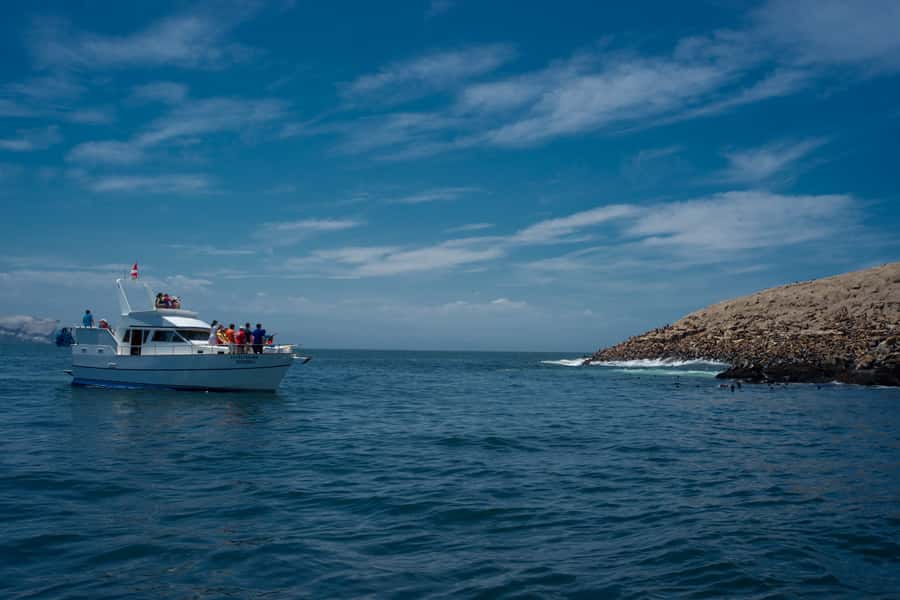 Lima: Sea Lion Swim and Wildlife Palomino Islands Cruise - San Lorenzo Island: marine bioreserve vibes with a Lima history story