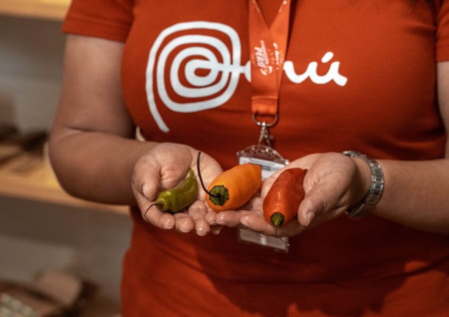 Lima: Ultimate Peruvian Food Tour - Fair Trade Chocolate Workshop: A Sweet Stop With Real Meaning