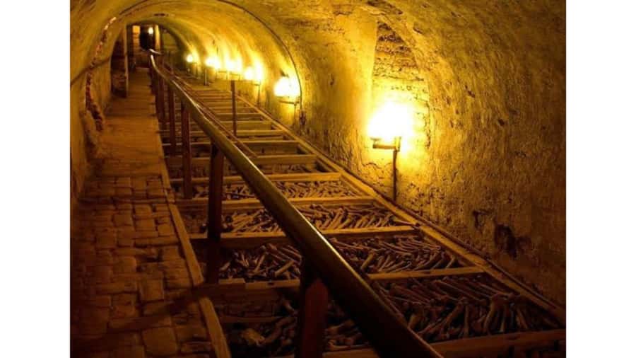 LIMA WALKING TOUR CATACOMBS FROM MIRAFLORES, HISTORICAL CENTER, WINES+BUS - Key highlights you will feel right away