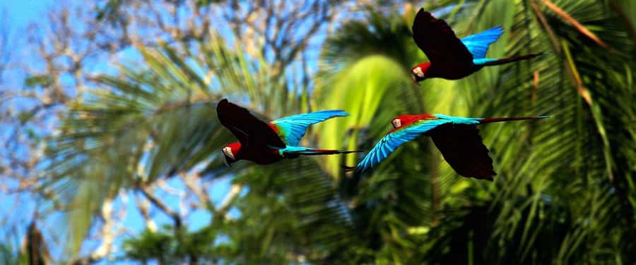 Living Nature from Cusco: 3 Days Manu Jungle all inclusive - Lodges, Food, and the Real Meaning of “All Inclusive”