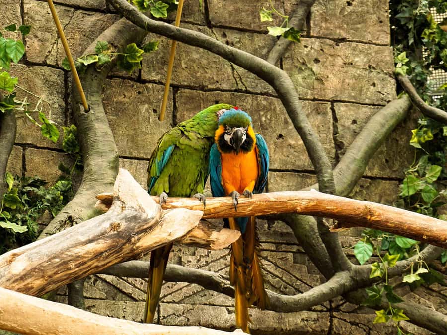 Living Nature from Cusco: 3 Days Manu Jungle all inclusive - Jungle Rules and Behavior Tips That Make the Experience Better