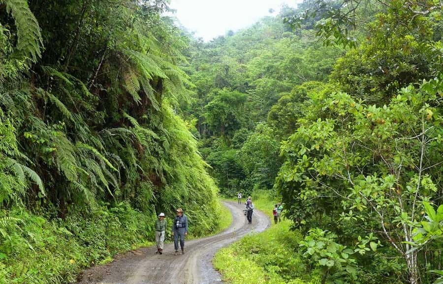 Living Nature from Cusco: 3 Days Manu Jungle all inclusive - Price and Logistics: What Your $390 Covers (and Why It’s Not Just a “Cheap Tour”)