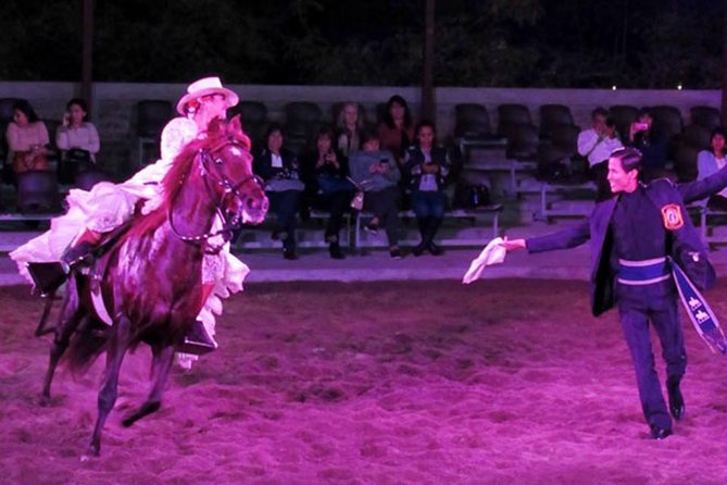 Lunch Show - Exhibition of Peruvian Horse with Pick up & drop off - Why this Peruvian dance and Paso horse combo is an easy night out