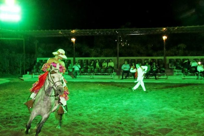 Lunch Show - Exhibition of Peruvian Horse with Pick up & drop off - The buffet dinner: what to expect and how to plan your appetite