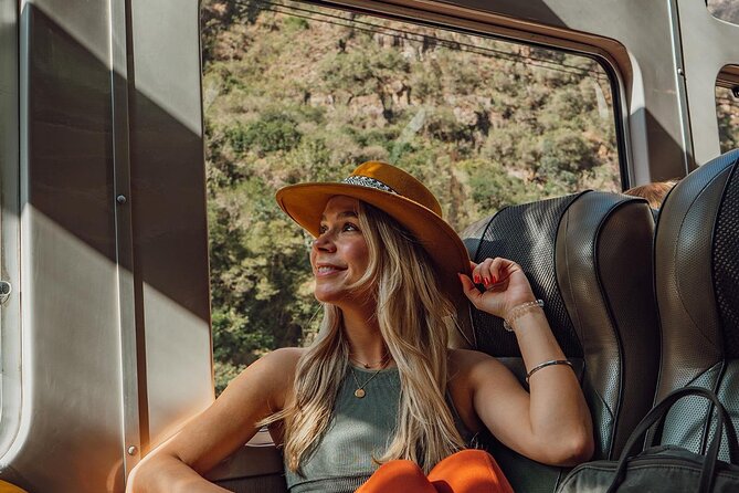 Machu Picchu 1-Day By Panoramic Vistadome Train - Key points that matter before you go