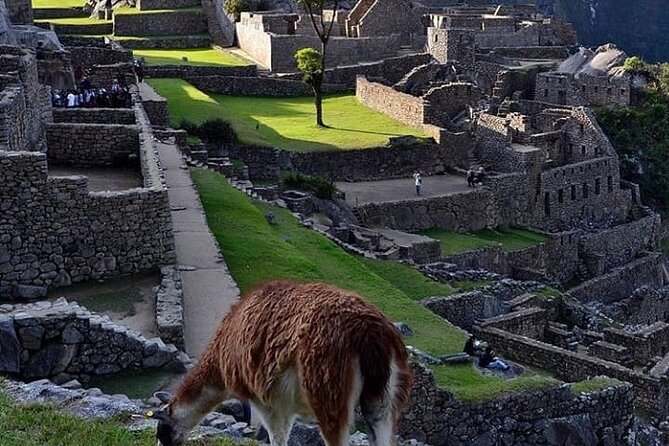 Machu Picchu 1 Day by Train from Cusco - Practical tips that help this day feel smoother