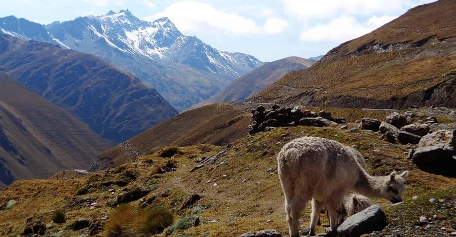 Machu Picchu 2 Days / 1 Night (By Bus) - Price and value: is $170 a good deal?