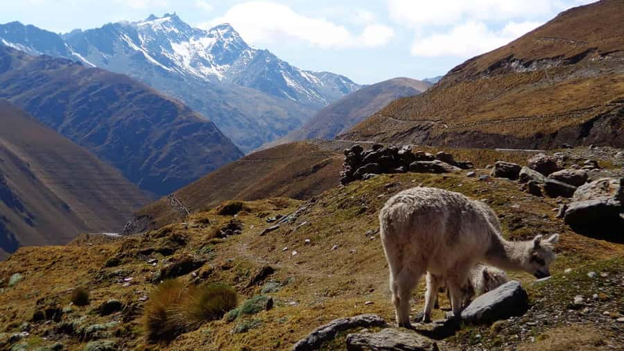 Machu Picchu 2 Days / 1 Night (By Bus) - Santa Teresa to Aguas Calientes: what that night gives you