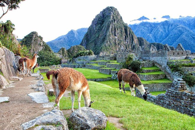 Machu Picchu By Train 2 Days Tour - What is included, and why that value adds up