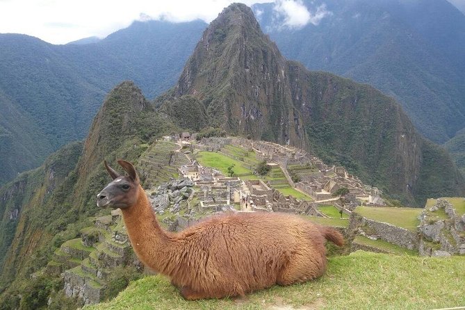 Machu Picchu Day Trip from Cusco - Full-Day Tour - The return by bus and train: how the day closes around 4:12 p.m.