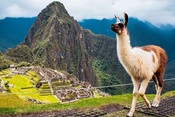 Machu Picchu Day Trip from Ollantaytambo and Urubamba - A Machu Picchu Day Trip From Ollantaytambo: What You Actually Get