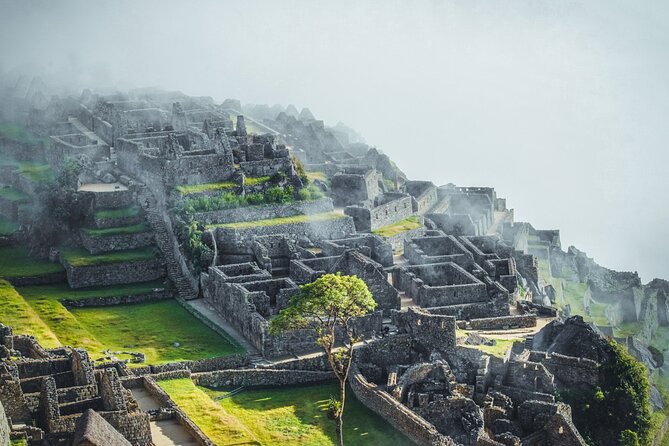 Machu Picchu Day Trip With Panoramic Train from Cusco - Inside Machu Picchu with a certified local guide