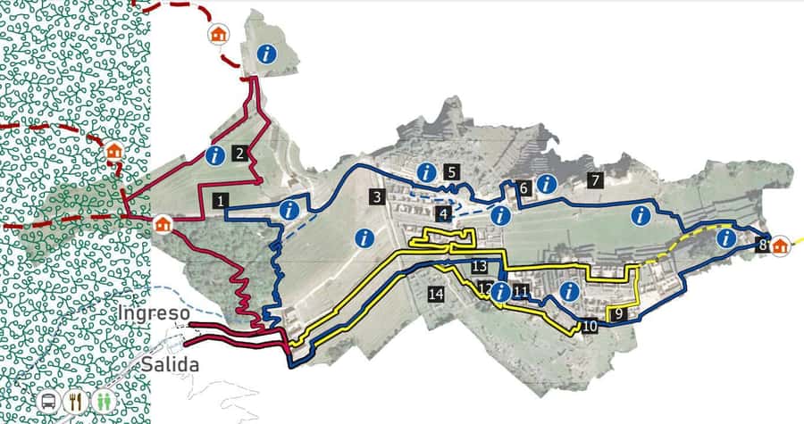 Machu Picchu Entry Ticket and Bus from Aguas Calientes - The 30 minute bus ride, why it affects your whole day