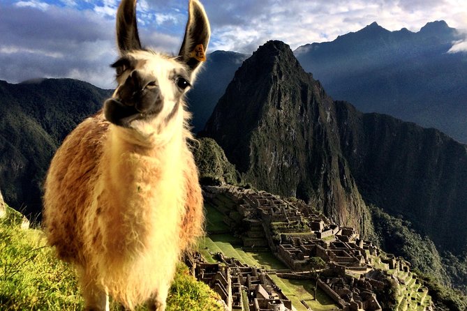 MACHU PICCHU full day - Train time to Machu Picchu, and why it is part of the experience