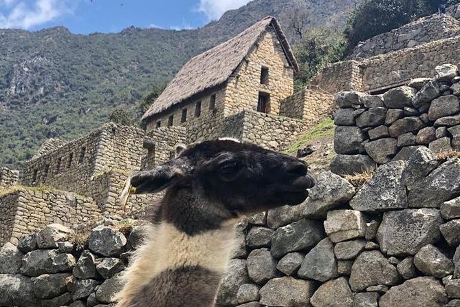 Machu Picchu Full Day from Cusco - A very early start from Cusco to Ollantaytambo, then onward