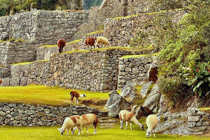 Machu Picchu Full Day from Cusco - Buses and the return to Cusco: why drop-off location matters